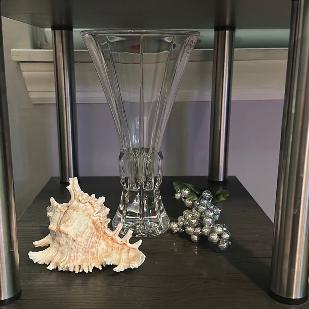 Seashell Decor
